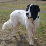 Ersteller:in Rosalita Profilbild