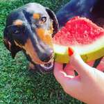 Ersteller:in Isabell  Profilbild