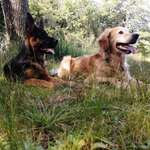 Ersteller:in Cora Profilbild