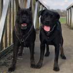 Ersteller:in Chantal Profilbild