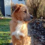 Ersteller:in Céline Profilbild