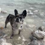 Ersteller:in Lea Profilbild