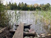 Hundeauslaufgebiet-Wanderwege Haussee und Redsee-Bild