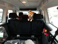 Hundebox im VW Caddy ohne Kofferaum installieren-Beitrag-Bild