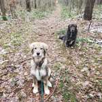 Ersteller:in Tina Profilbild