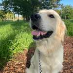 Ersteller:in Nessi Profilbild