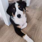 Ersteller:in Kim Profilbild