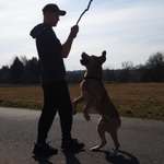 Ersteller:in Michael Profilbild