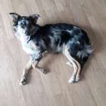 Ersteller:in Verena Profilbild