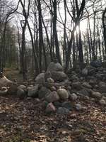 Hundeauslaufgebiet-Büstorf-Bild