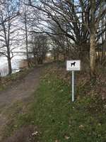 Hundeauslaufgebiet-Büstorf-Bild