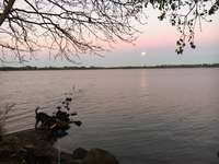 Hundeauslaufgebiet-Wanderweg an der Noorfischerei-Bild