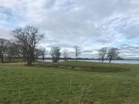 Hundeauslaufgebiet-Büstorf-Bild