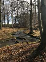 Hundeauslaufgebiet-Büstorf-Bild