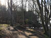 Hundeauslaufgebiet-Büstorf-Bild