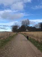 Hundeauslaufgebiet-Büstorf-Bild