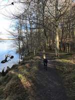 Hundeauslaufgebiet-Büstorf-Bild