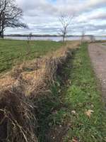 Hundeauslaufgebiet-Büstorf-Bild