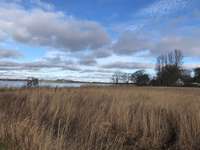 Hundeauslaufgebiet-Büstorf-Bild