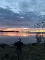 Hundeauslaufgebiet-Wanderweg an der Noorfischerei-Bild