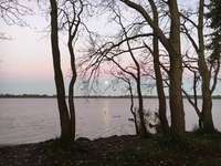 Hundeauslaufgebiet-Wanderweg an der Noorfischerei-Bild