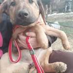 Blutiger Anfänger-Beitrag-Bild