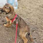 Blutiger Anfänger-Beitrag-Bild