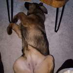 Wie groß wird sie, was denkt ihr?-Beitrag-Bild