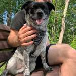 Ersteller:in Sahra Profilbild