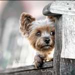 Ersteller:in Myco Profilbild