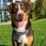 Ersteller:in Lena Profilbild