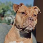 Ersteller:in T & Profilbild