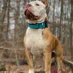 Ersteller:in Michel Profilbild