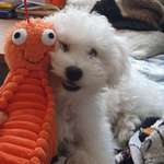 Ersteller:in Jessica Profilbild