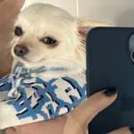 Ersteller:in N Profilbild