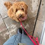 Ersteller:in Paulina Profilbild