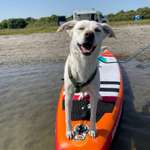 Ersteller:in Ute Profilbild