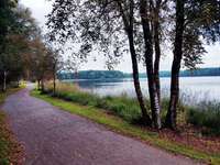 Hundeauslaufgebiet-Ottermeer/Wiesmoor-Bild