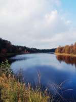 Hundeauslaufgebiet-Ottermeer/Wiesmoor-Bild
