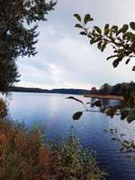 Hundeauslaufgebiet-Ottermeer/Wiesmoor-Bild