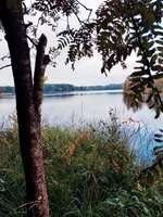 Hundeauslaufgebiet-Ottermeer/Wiesmoor-Bild