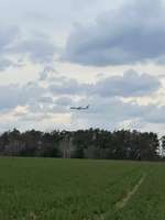 Hundeauslaufgebiet-Miersdorfer Feld-Bild
