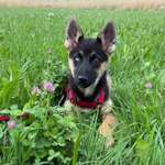 Ersteller:in Celina Profilbild