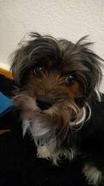 Ersteller:in Eric Profilbild