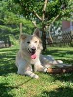 Ersteller:in Juliana Profilbild