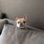 Ersteller:in Peggy Profilbild