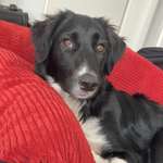 Ersteller:in Justin Profilbild