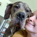 Ersteller:in Samira Profilbild