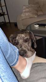 Zu wenig Trinken!!-Beitrag-Bild