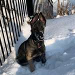 Ersteller:in Michelle Profilbild